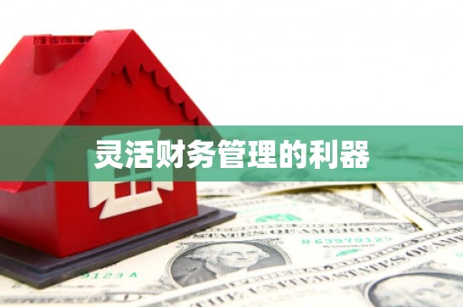 双溪灵活财务管理的利器