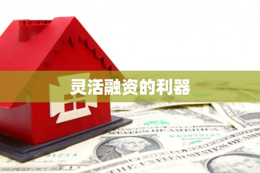 双溪灵活融资的利器