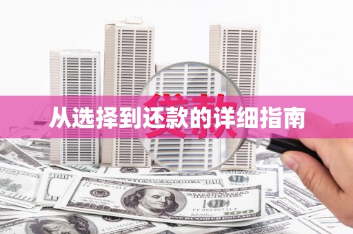 双溪从选择到还款的详细指南