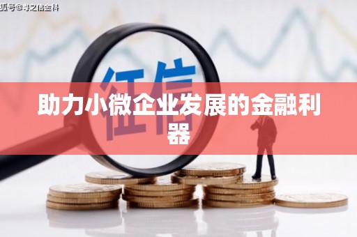 双溪助力小微企业发展的金融利器