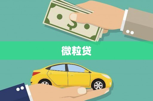 双溪微粒贷