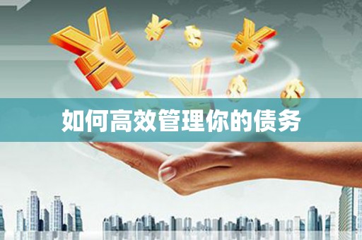 双溪如何高效管理你的债务