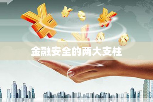 双溪金融安全的两大支柱