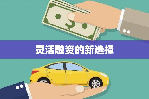 双溪灵活融资的新选择