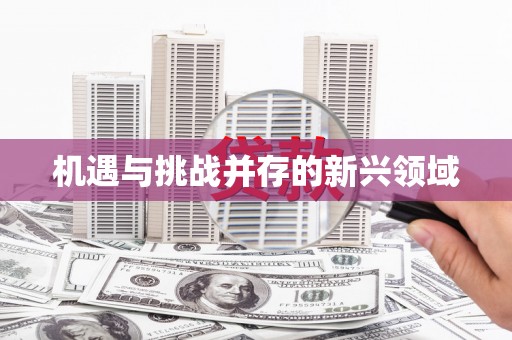 双溪机遇与挑战并存的新兴领域