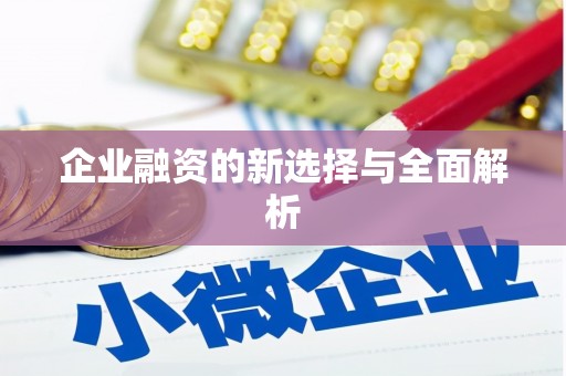 双溪企业融资的新选择与全面解析