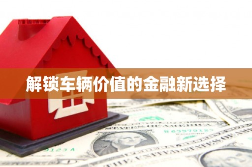 双溪解锁车辆价值的金融新选择