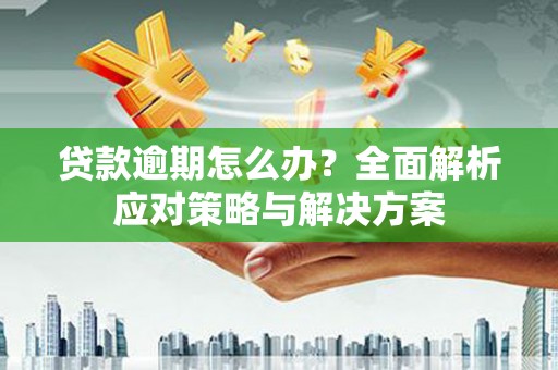 双溪贷款逾期怎么办？全面解析应对策略与解决方案