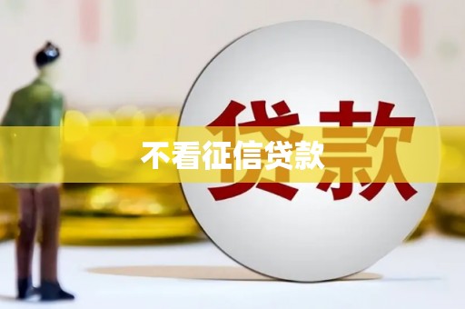 双溪不看征信贷款