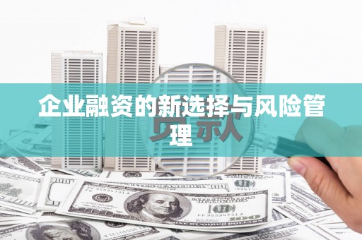 双溪企业融资的新选择与风险管理