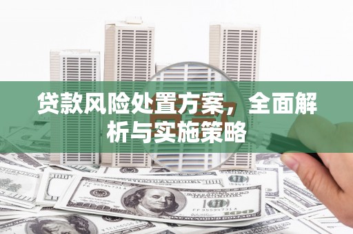 双溪贷款风险处置方案，全面解析与实施策略