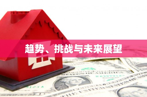 双溪趋势、挑战与未来展望