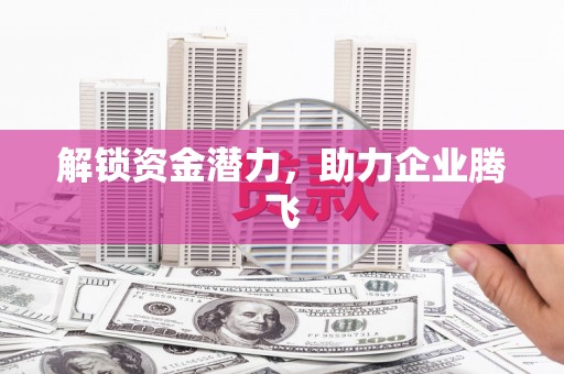双溪解锁资金潜力，助力企业腾飞