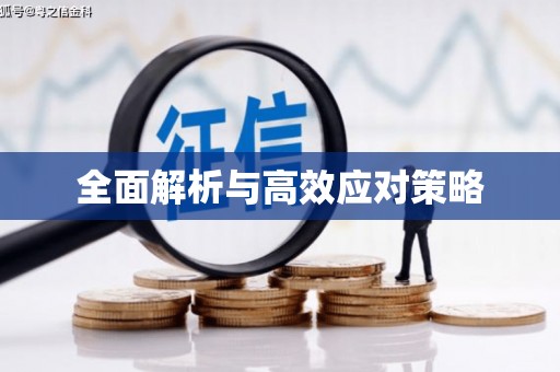 双溪全面解析与高效应对策略