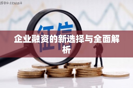 双溪企业融资的新选择与全面解析