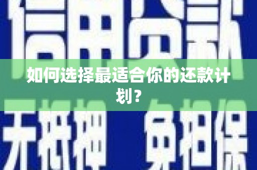 双溪如何选择最适合你的还款计划？