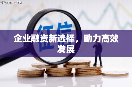 双溪企业融资新选择，助力高效发展