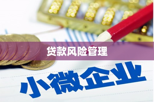 双溪贷款风险管理