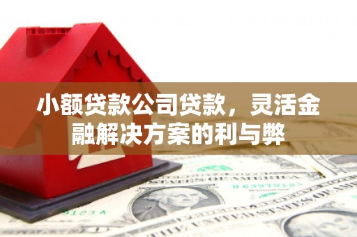 双溪小额贷款公司贷款，灵活金融解决方案的利与弊