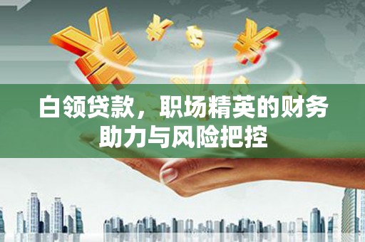 双溪白领贷款，职场精英的财务助力与风险把控