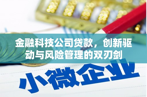 双溪金融科技公司贷款，创新驱动与风险管理的双刃剑