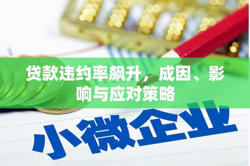 双溪贷款违约率飙升，成因、影响与应对策略